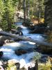 PICTURES/Grand Teton National Park/t_River From  Bridge2.JPG